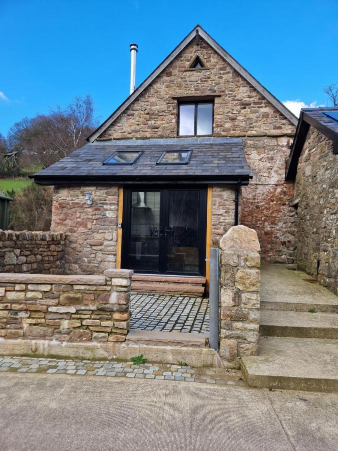 The Old Pig Sty Villa Llanellen Buitenkant foto